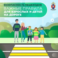 🚨 Безопасность детей на дорогах 🚨 🚨 Безопасность детей на дорогах 🚨.