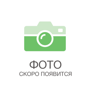 Воспитатель Трусова Анна Александровна Воспитатель Трусова Анна Александровна